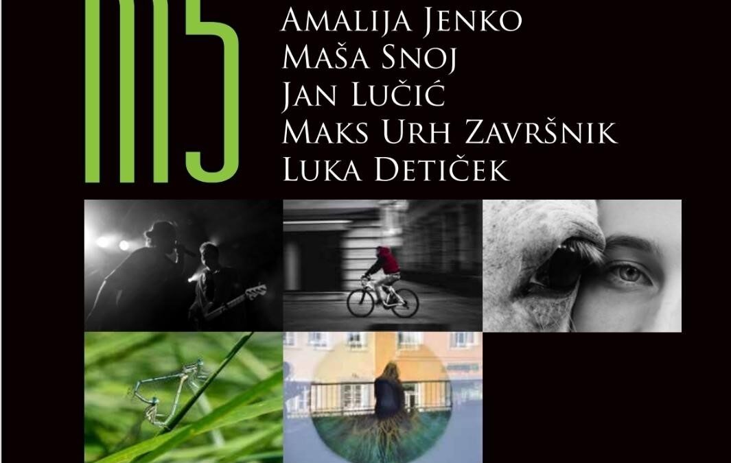 Sodelovanje naših dijakov na fotografski razstavi v Mestni občini Kranj