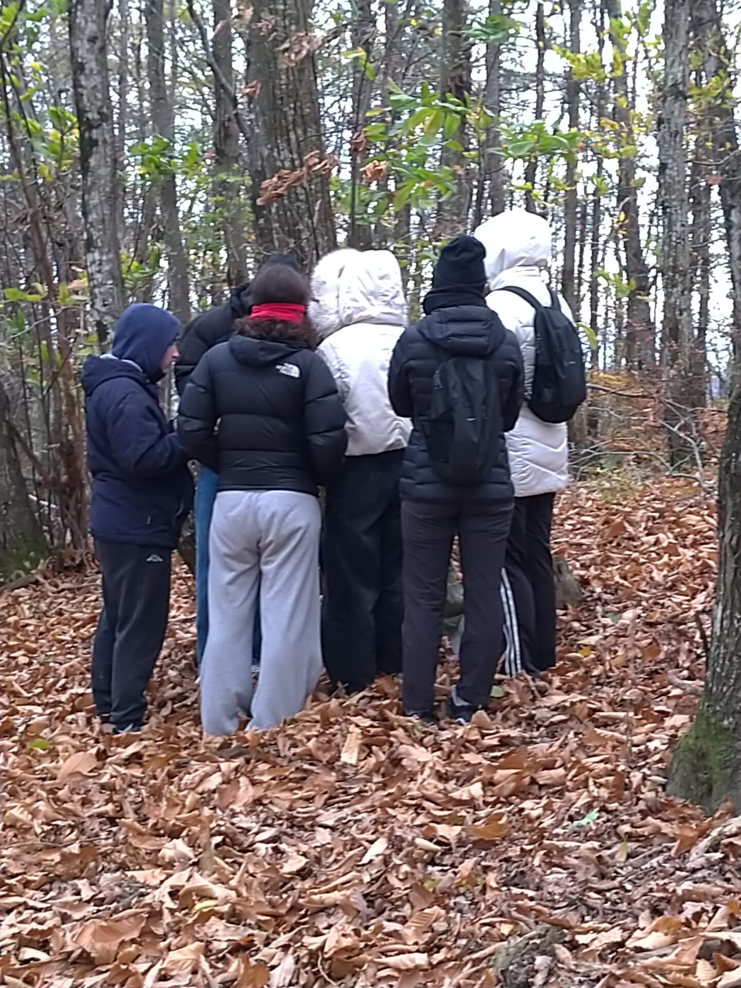 MTI – La natura nei miti e nei racconti