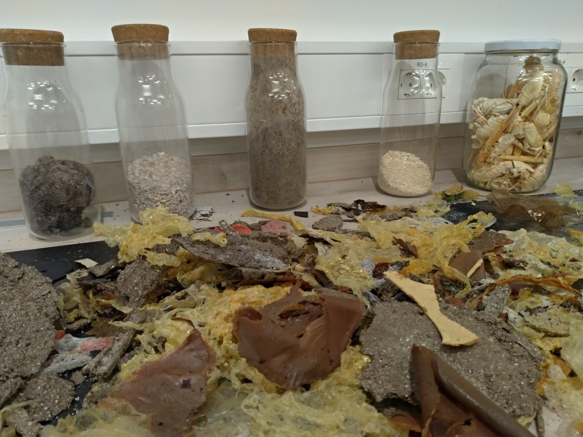 MTI – Biomateriali e suoni sottomarini