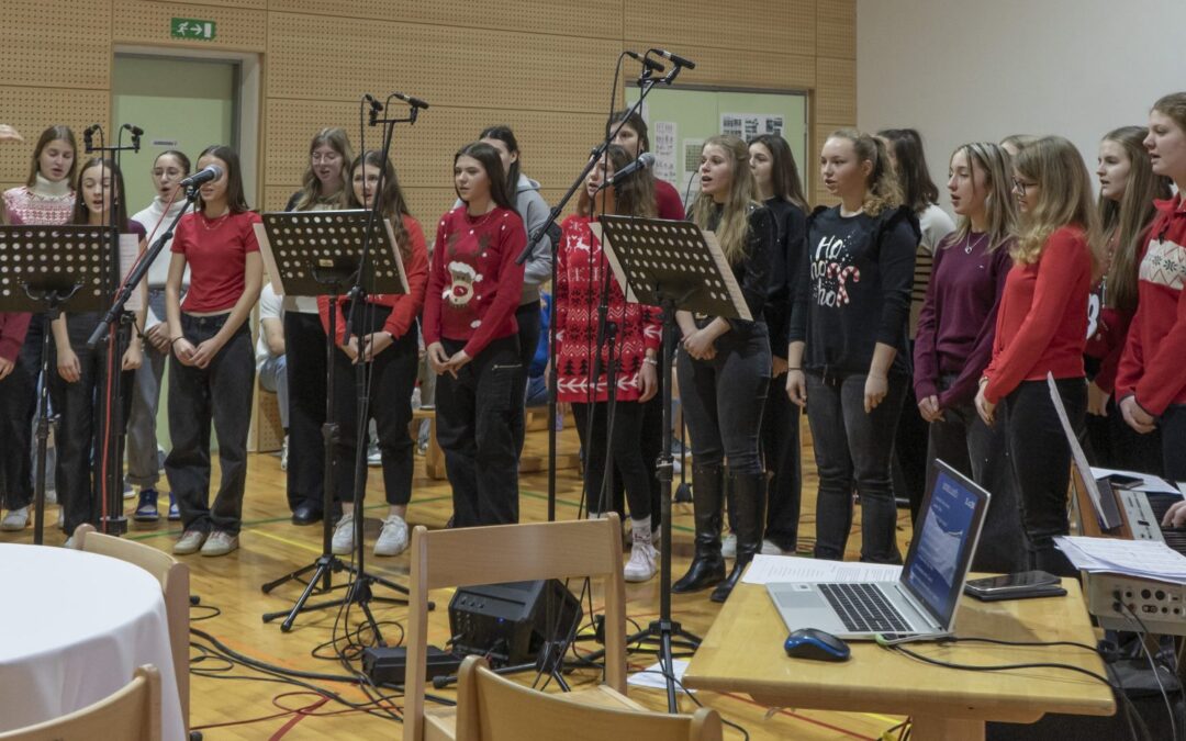 Proslava in novoletna prireditev