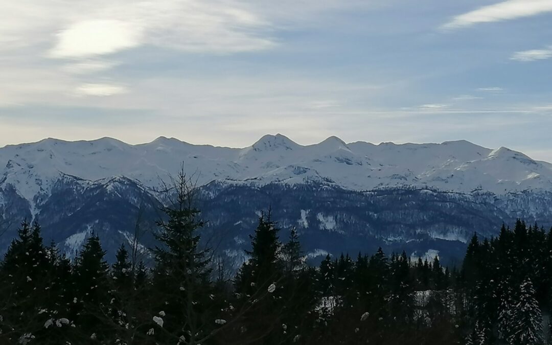 Zimski športni dan