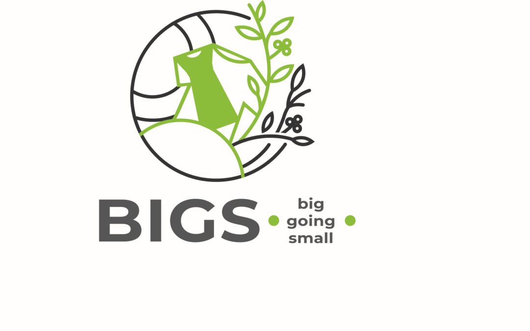 BIGS – Big is going small