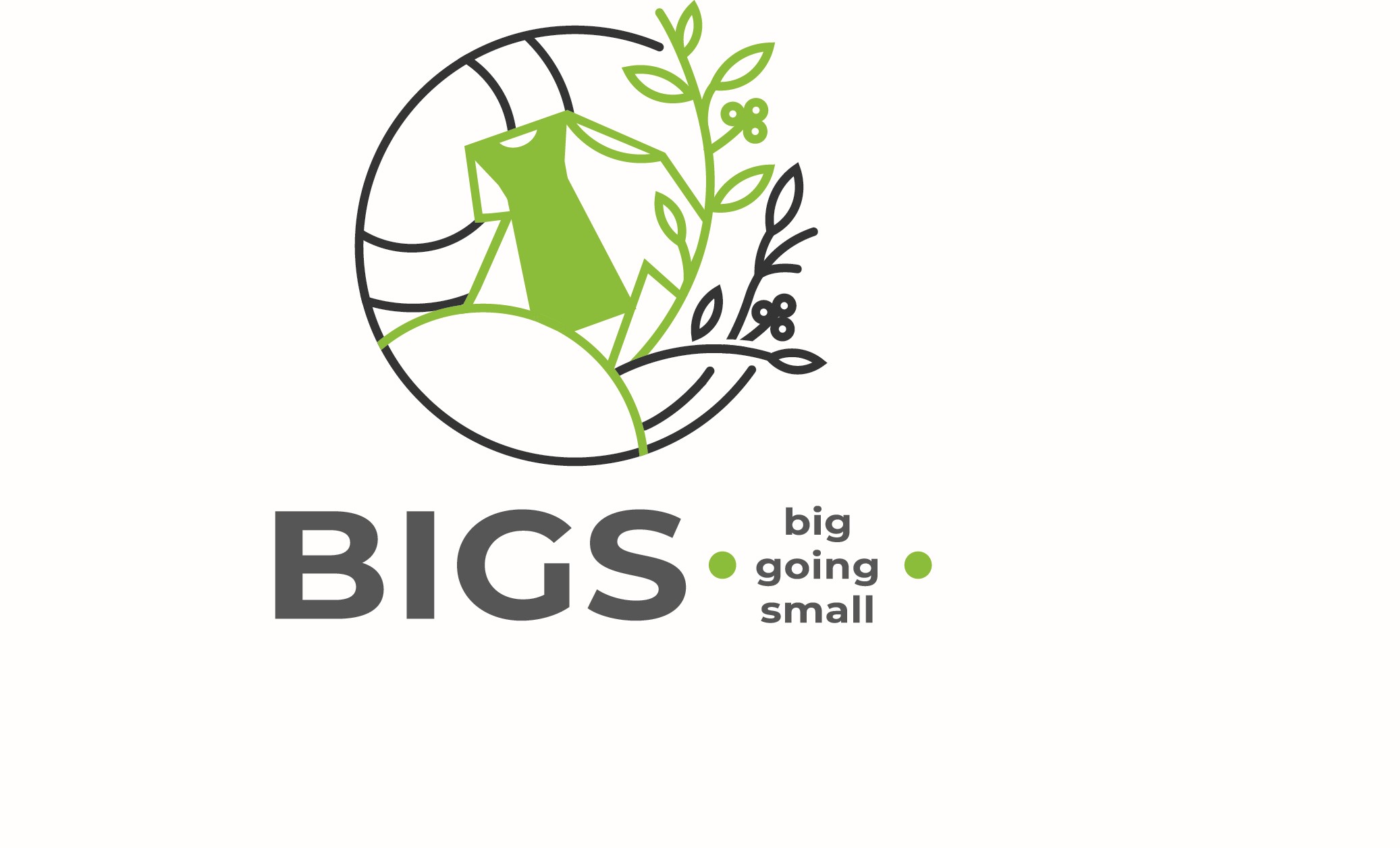 BIGS – Big is going small BIGS – Big is going small