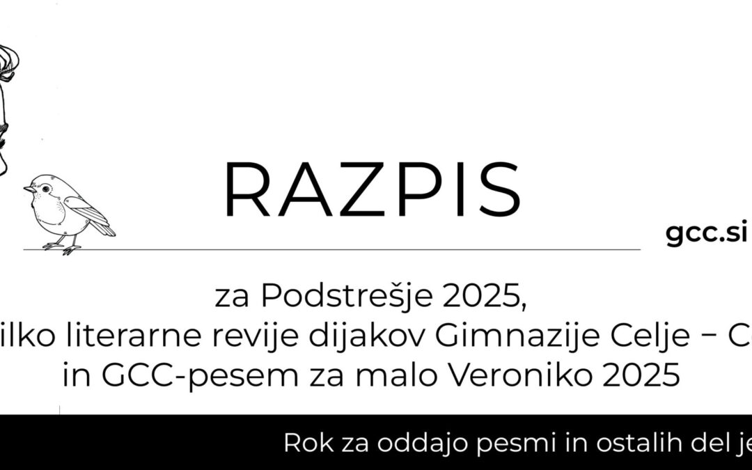 Razpis Podstrešje 2025