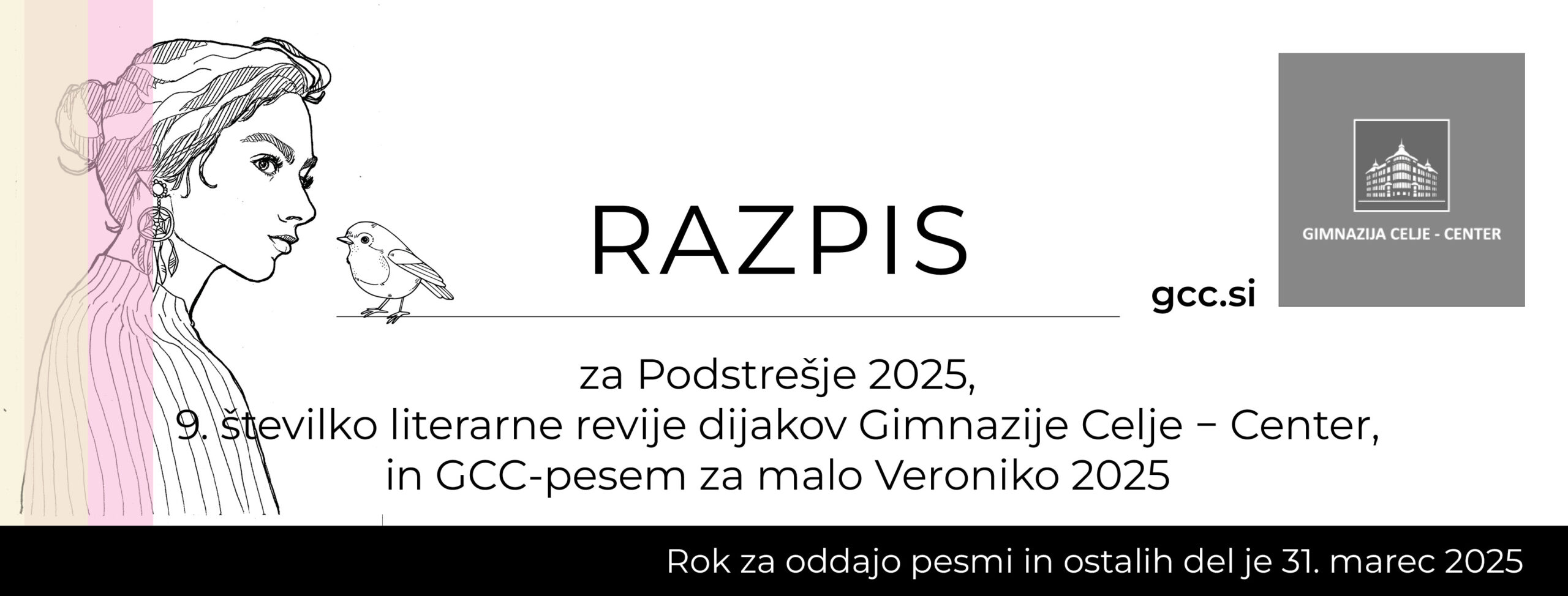 Razpis Podstrešje 2025 Razpis Podstrešje 2025
