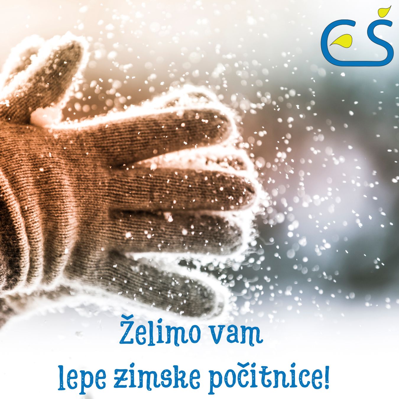 Zimske počitnice Zimske počitnice