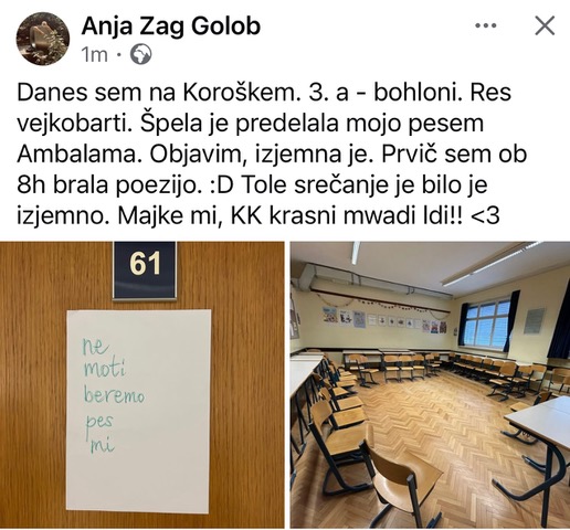 Obisk pesnice Anje Zag Golob 