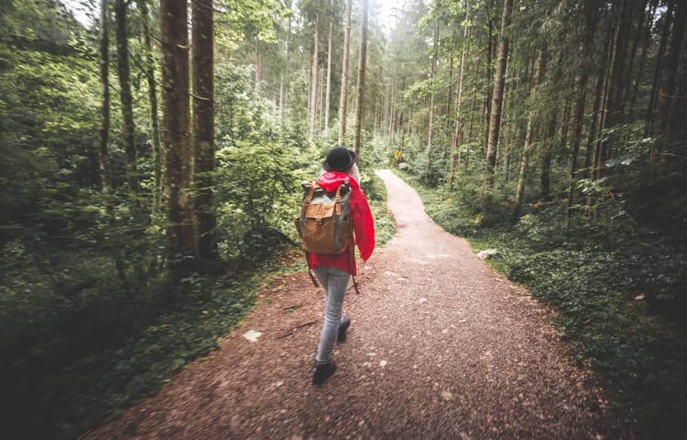 OSUPLJIVI SVET DREVES