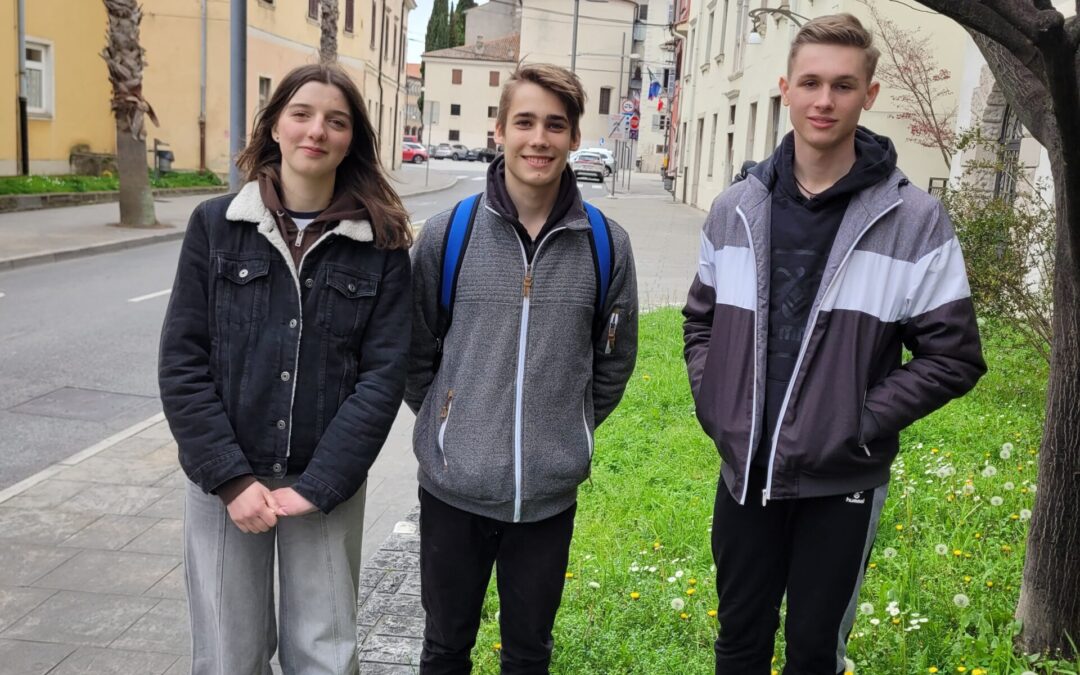 Uspeh naših dijakov na državnem tekmovanju mladih zgodovinarjev