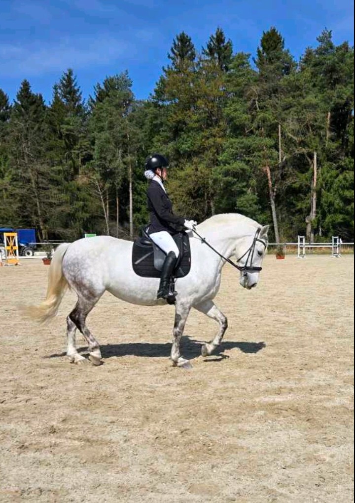 Ema Vauda zmagovalka v Celju Ema Vauda zmagovalka v Celju
