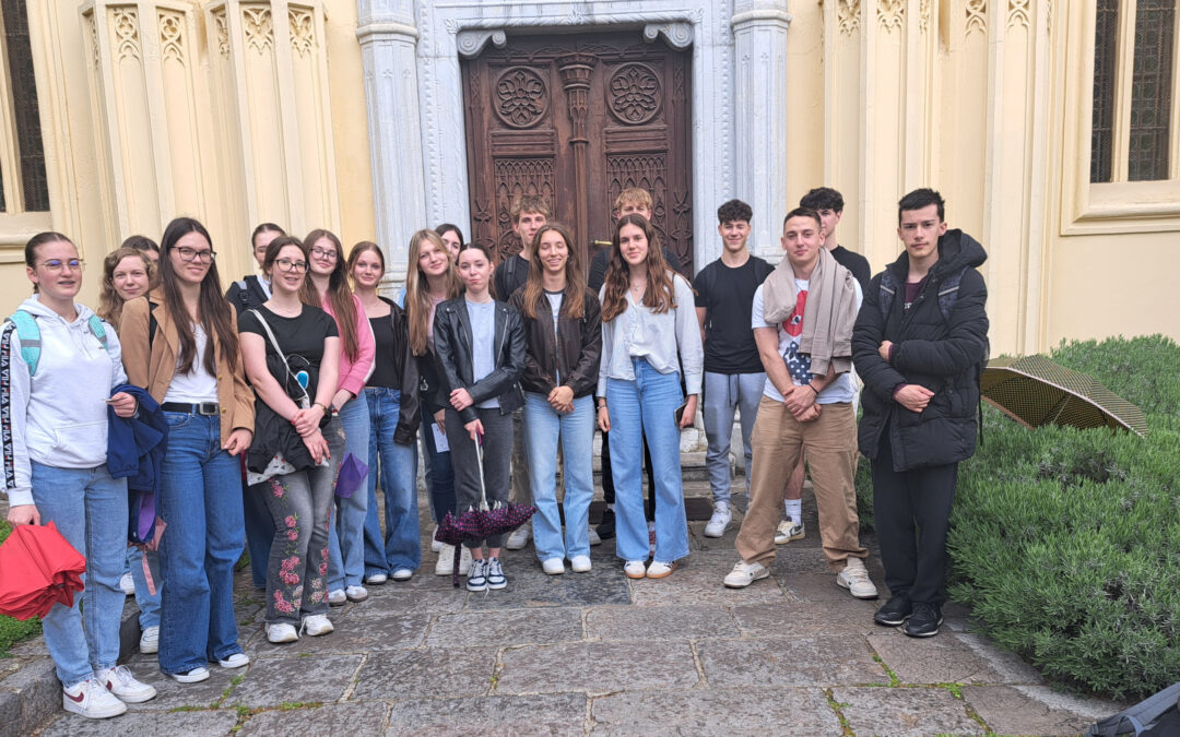 NOVO MESTO MALO DRUGAČE: TRAJNOSTNI IZZIVI IN LITERARNE SKRIVNOSTI
