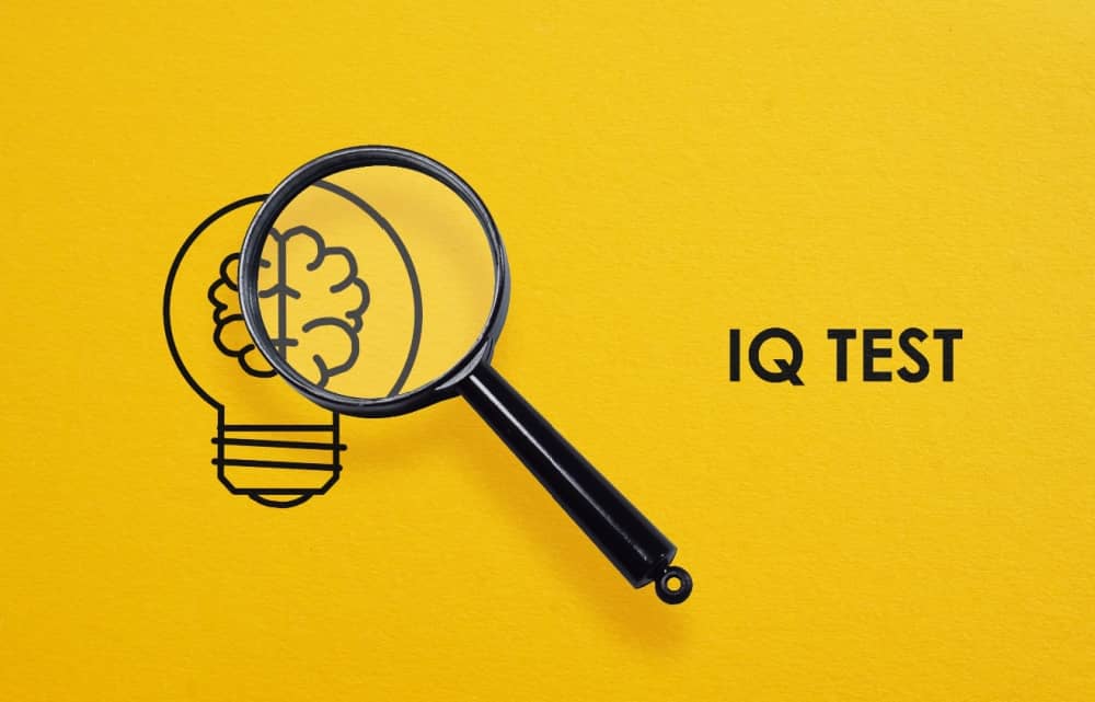 ZAKAJ IQ NI VSE – IN KAJ VSE JE ŠE POMEMBNO?