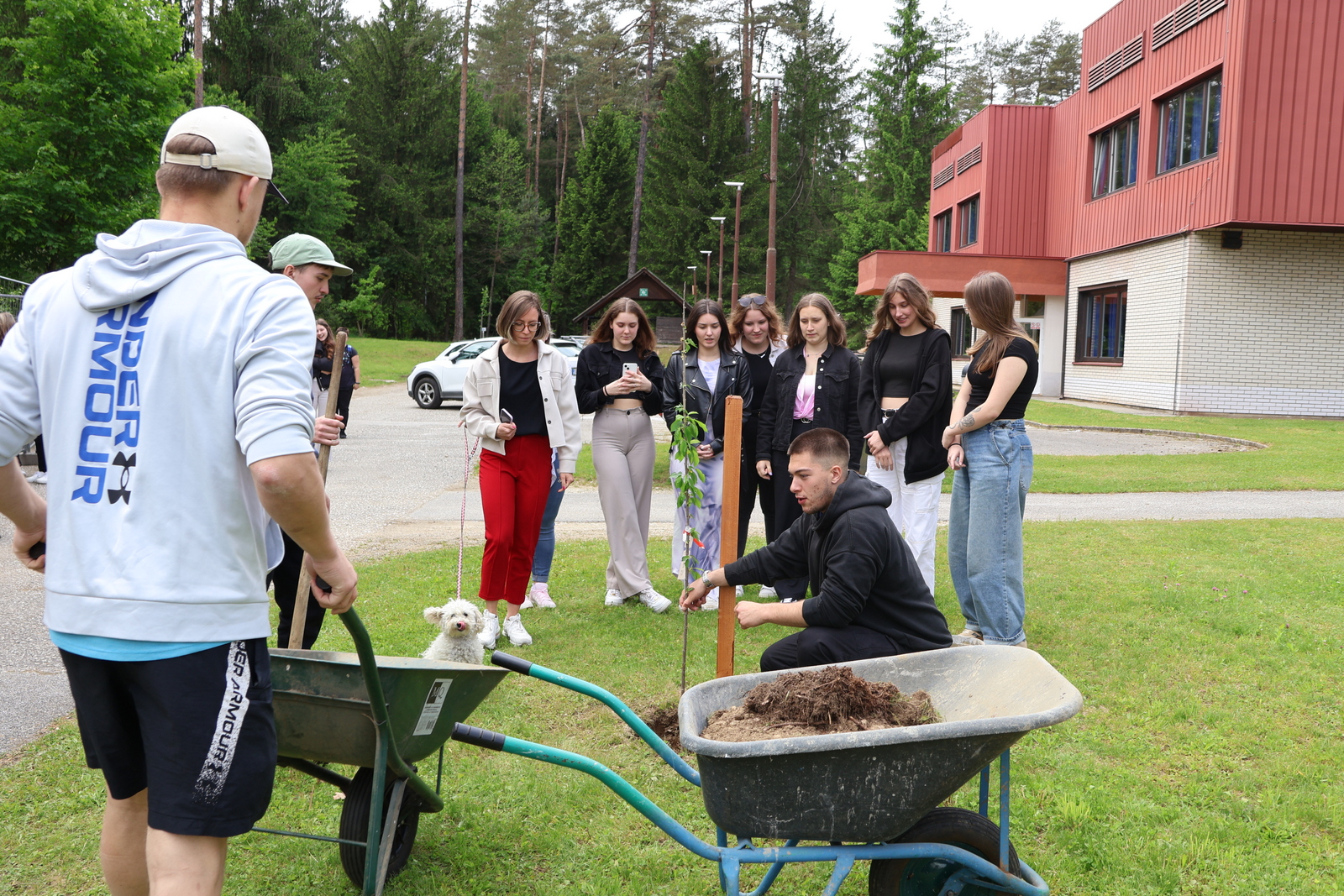 Tradicionalna posaditev drevesa zaključnih letnikov Tradicionalna posaditev drevesa zaključnih letnikov