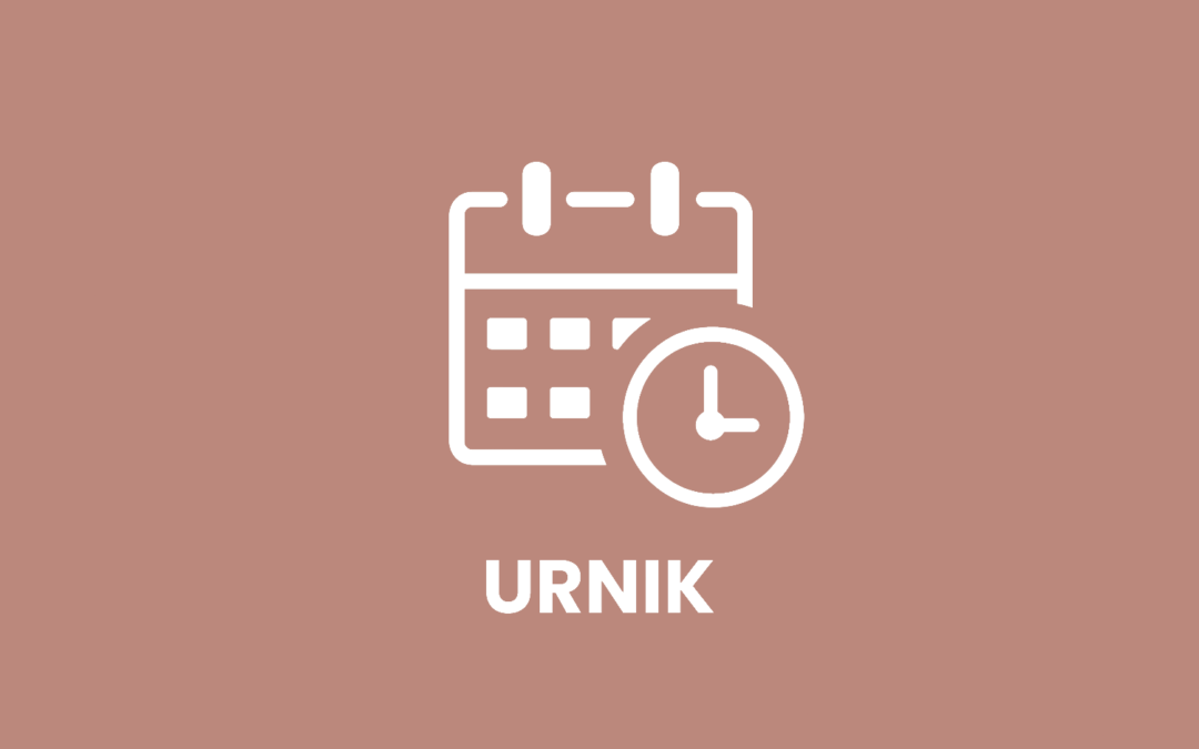 SKUPINSKE KONZULTACIJE – priprave na storitev, pisni, ustni del zaključnega izpita