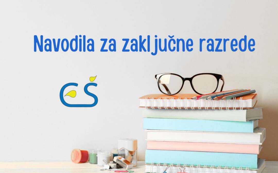 Priprave na maturo in zaklj. izpit ter dejavnosti v zaključnih razredih