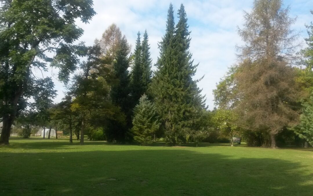 Svetovni dan parkov – 24. maj 2025