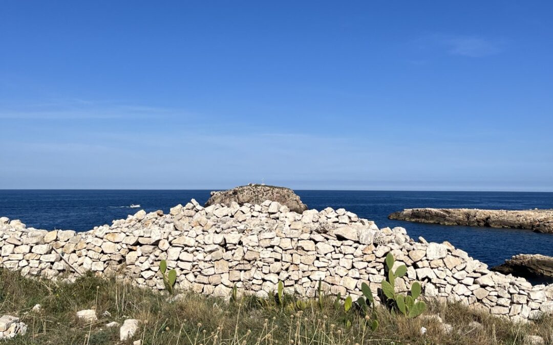 Pred začetkom letošnje splošne mature