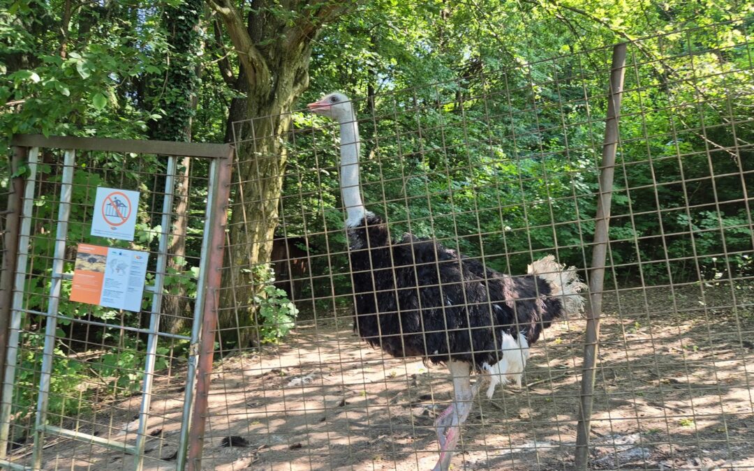 NARAVOSLOVNA ESKURZIJA NA PTUJ