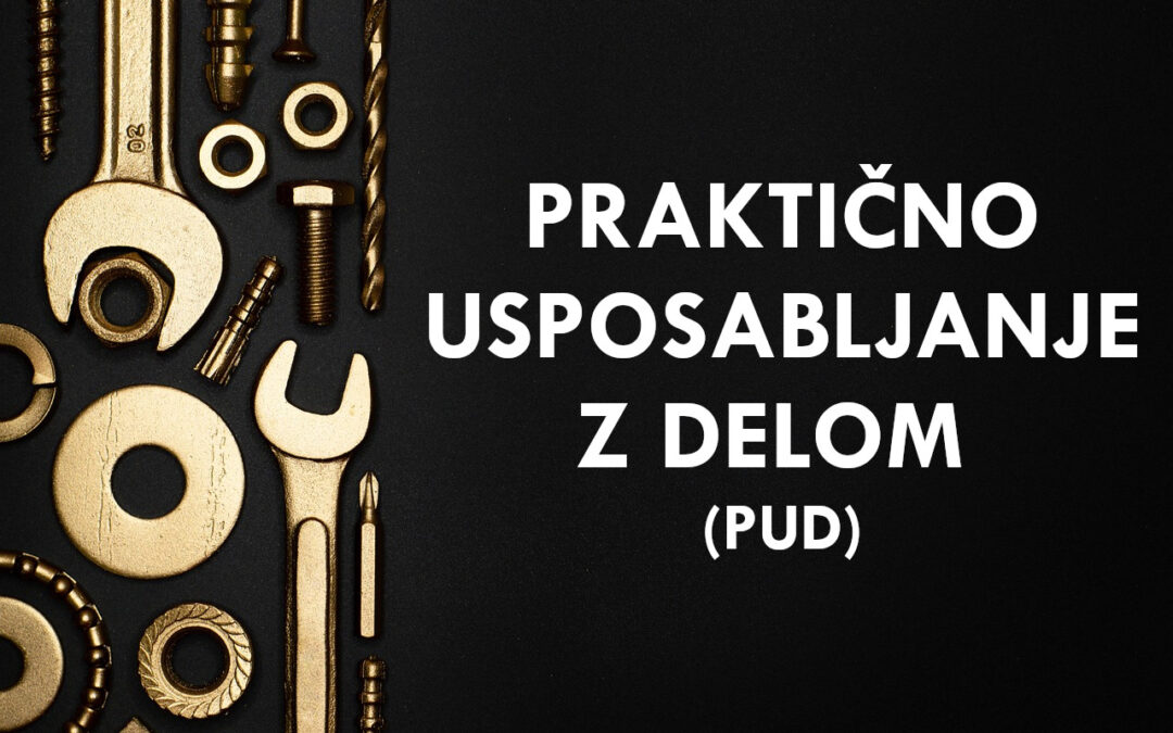 PUD 2025/2026 – zaključni letniki (SPI)