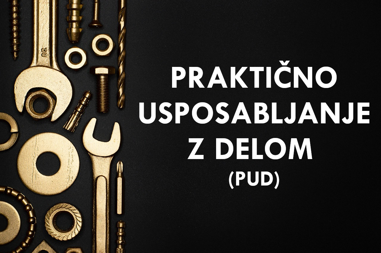 PUD 2025/2026 – zaključni letniki (SPI) PUD 2025/2026 – zaključni letniki (SPI)