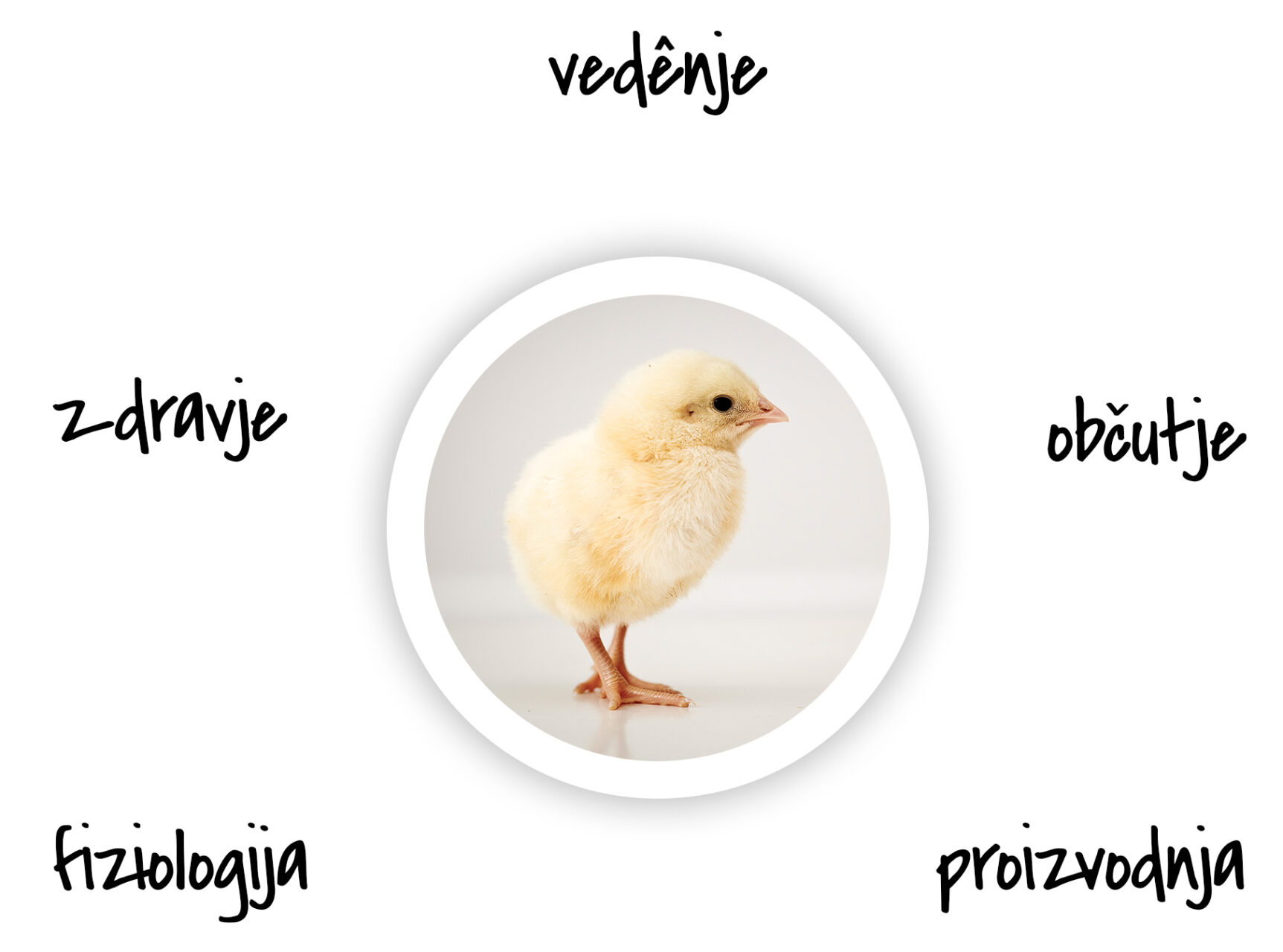 ID – DOBROBIT ŽIVALI – 1. a, 1. aš in 1. b