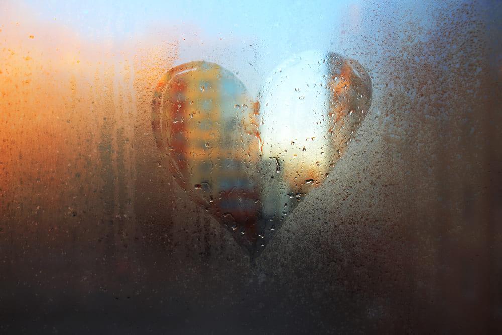 Zanimiva dejstva o telesu