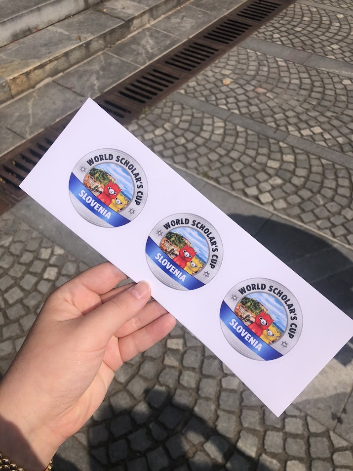 Dijaki SŠJJ svetovno dobro opravili na svetovnem prvenstvu WSC Dijaki SŠJJ svetovno dobro opravili na svetovnem prvenstvu WSC