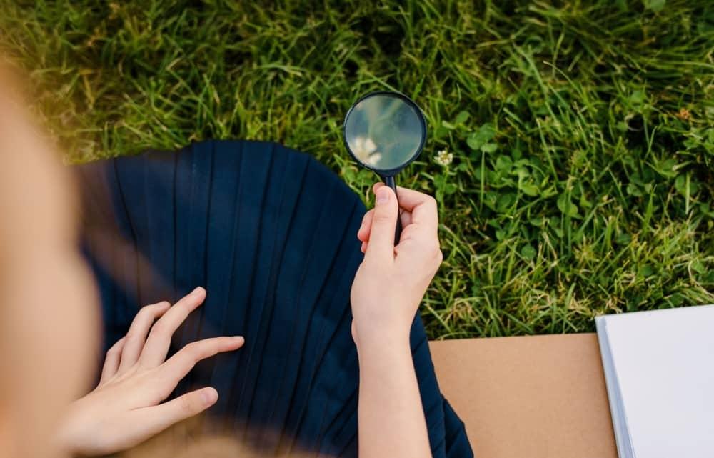 ŽUŽELKE, KI JIH SREČAŠ NA POČITNICAH – IN NJIHOVE SKRITE SUPERMOČI