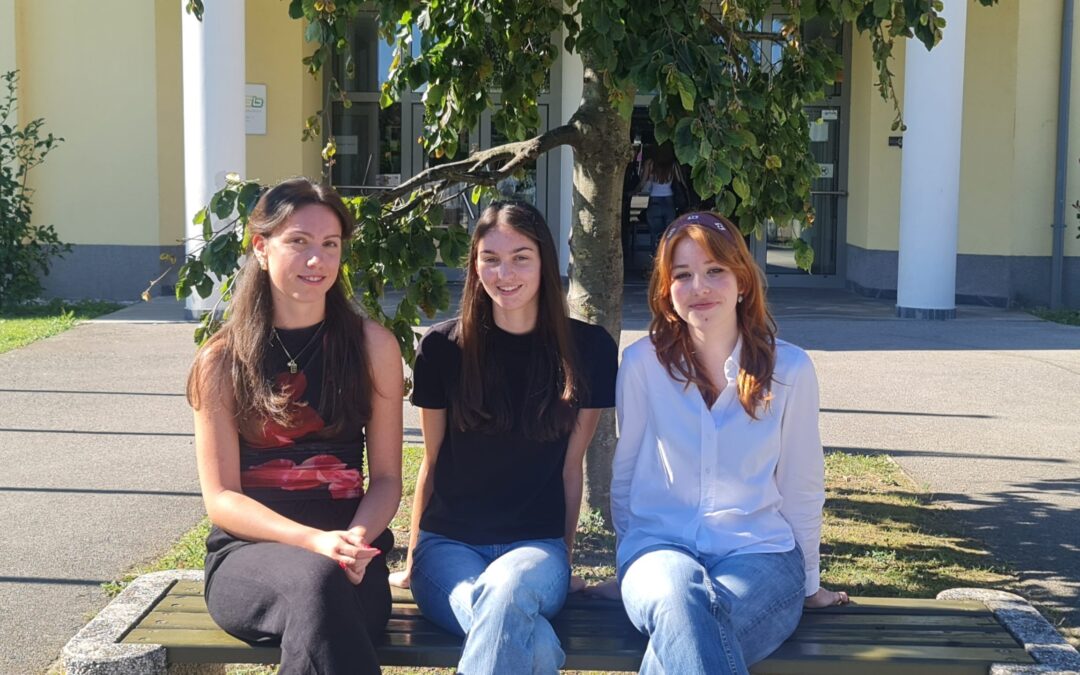 Krkina nagrada In priznanje na Srednji šoli Slovenska Bistrica