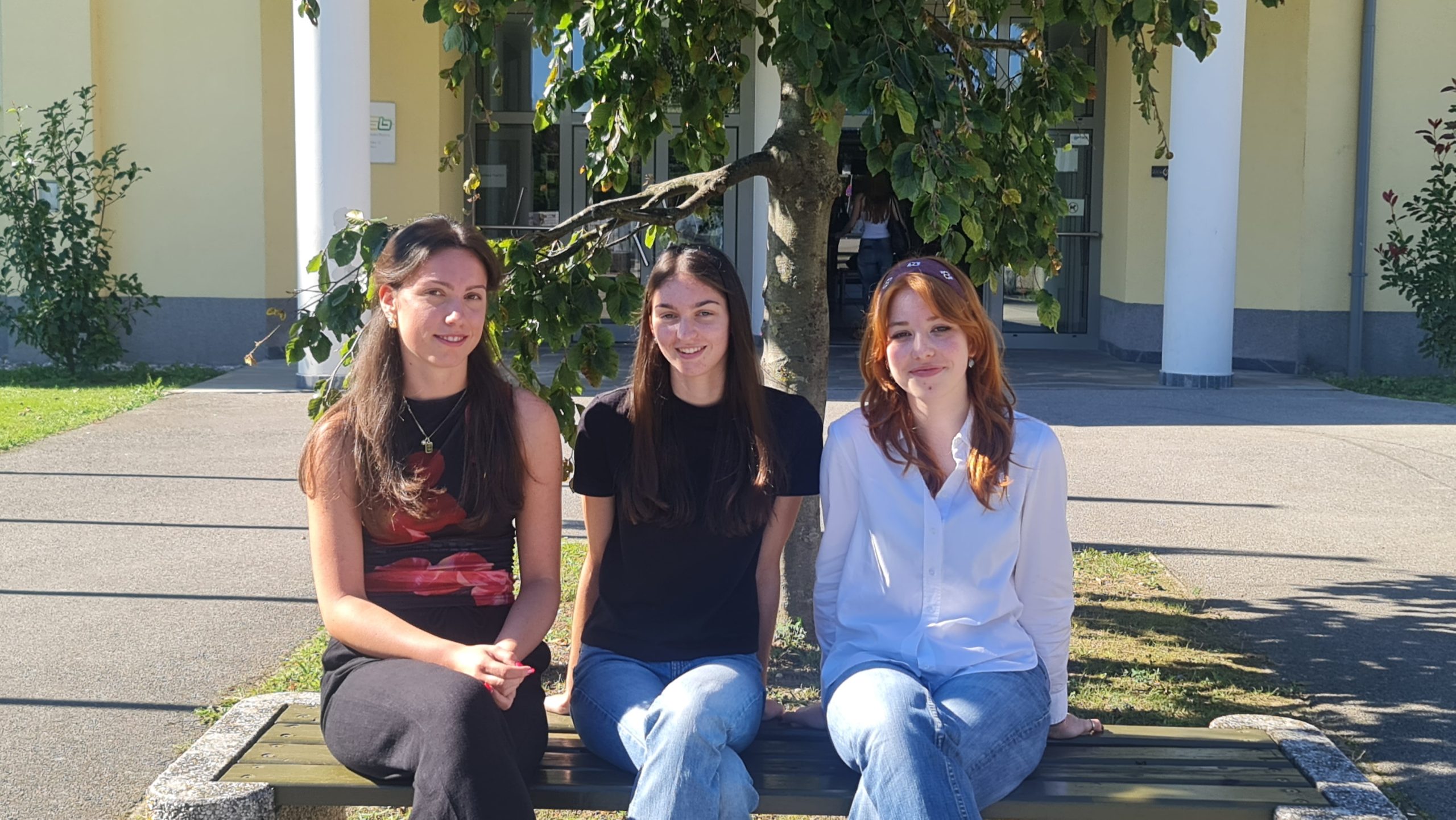 Krkina nagrada In priznanje na Srednji šoli Slovenska Bistrica Krkina nagrada In priznanje na Srednji šoli Slovenska Bistrica