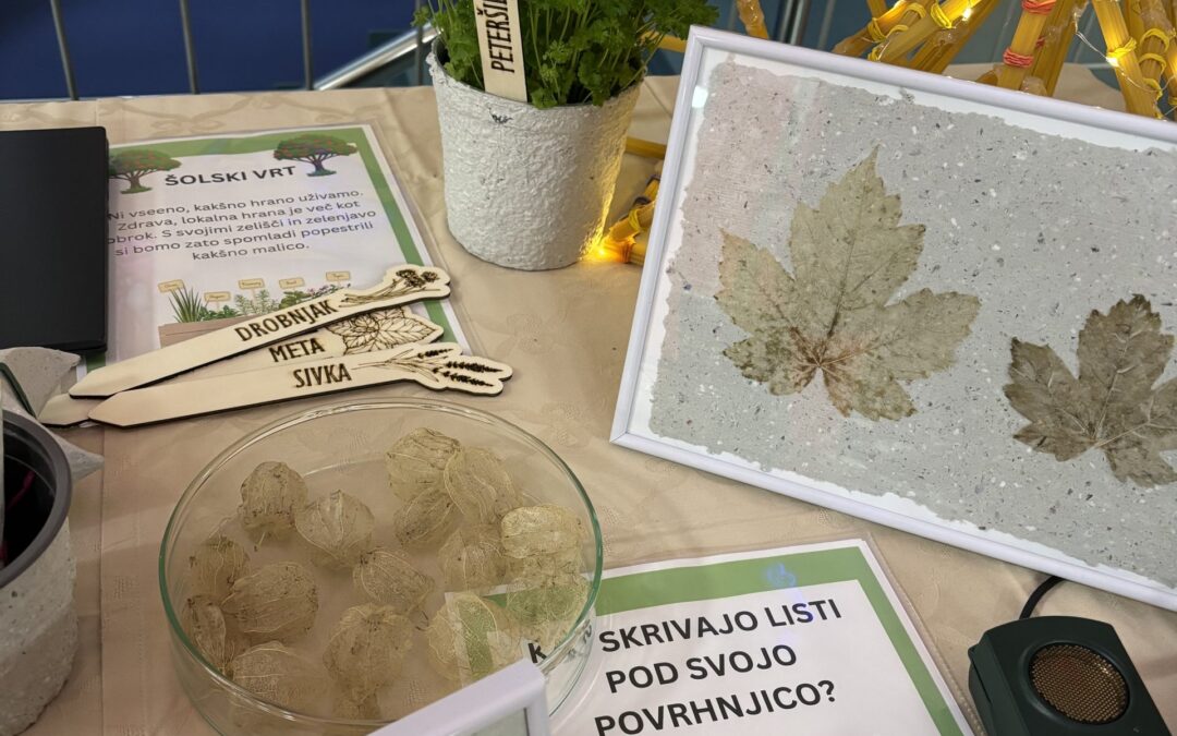 V svetu varuhov življenja – obisk anesteziologa