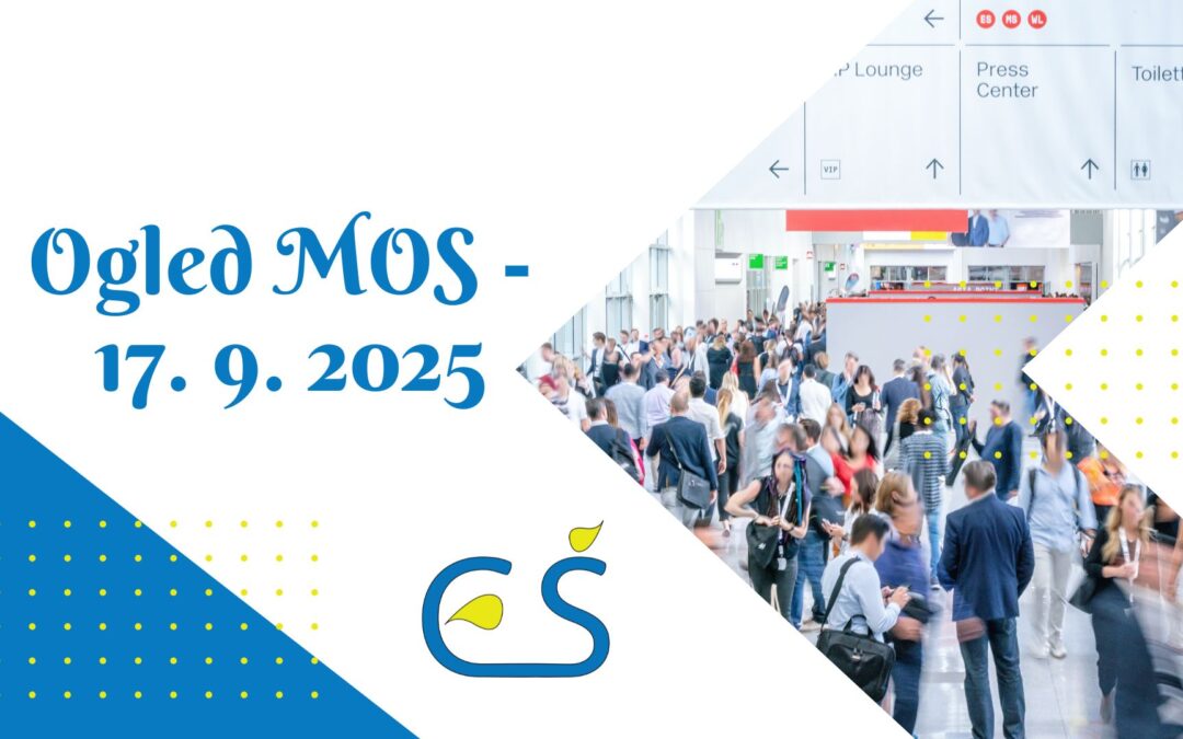 Ogled Mednarodnega obrtnega sejma 2025