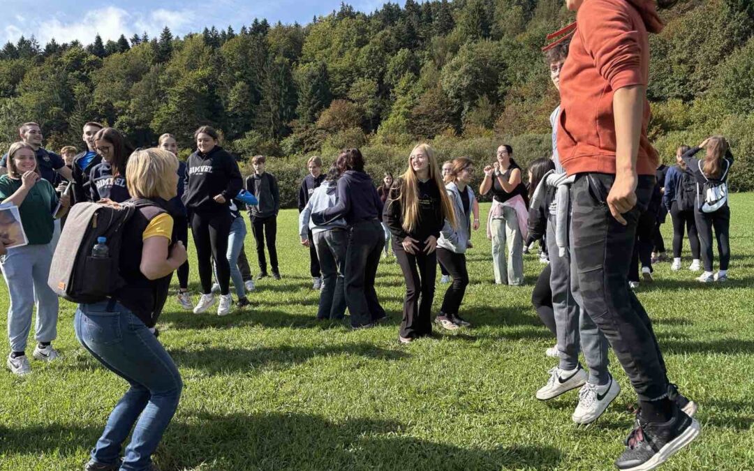 Šota, barjanska okna, mozaiki …