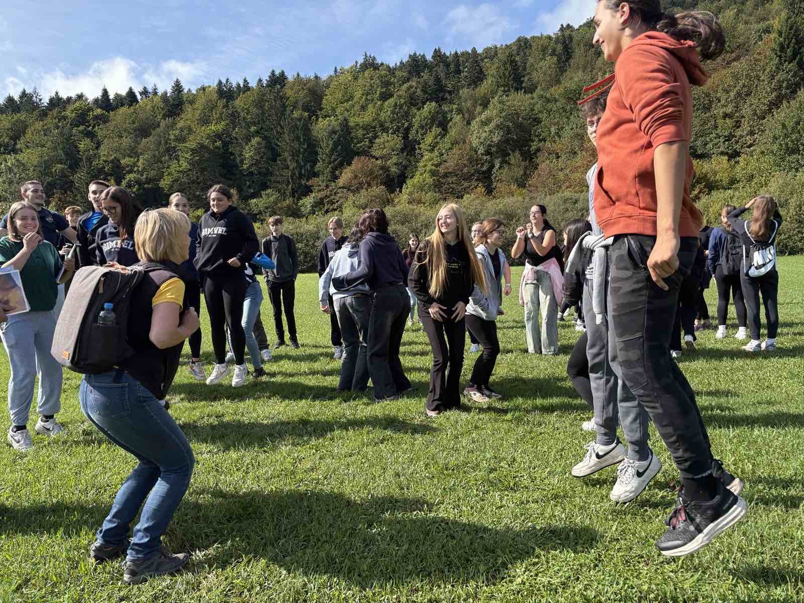 Šota, barjanska okna, mozaiki …