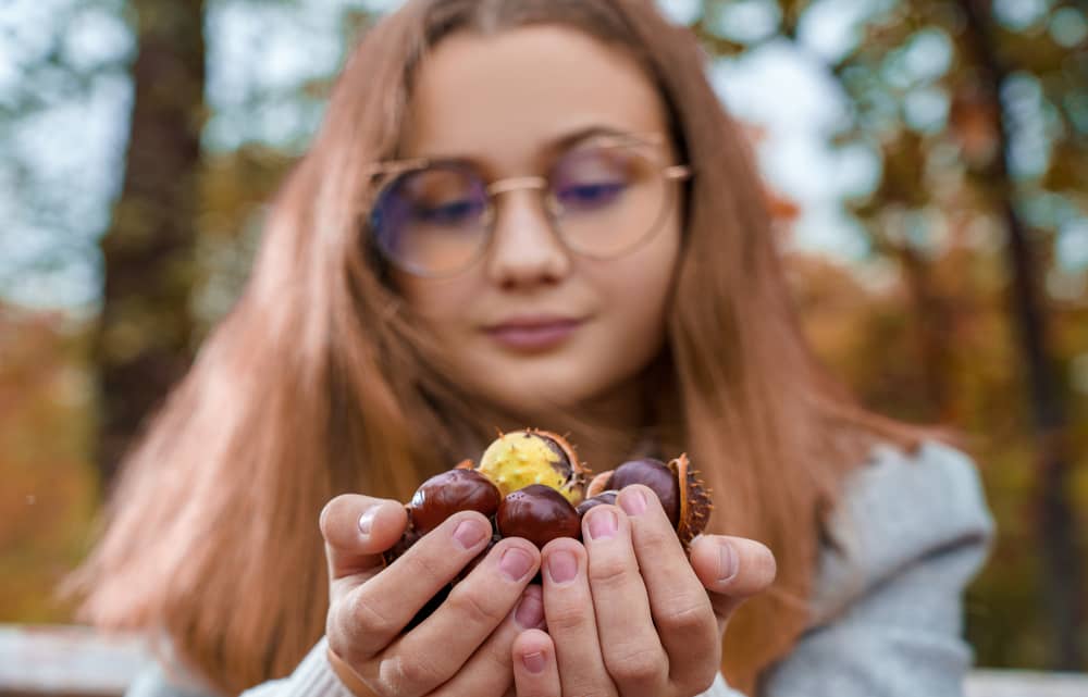 KOSTANJ: JESENSKA LEGENDA