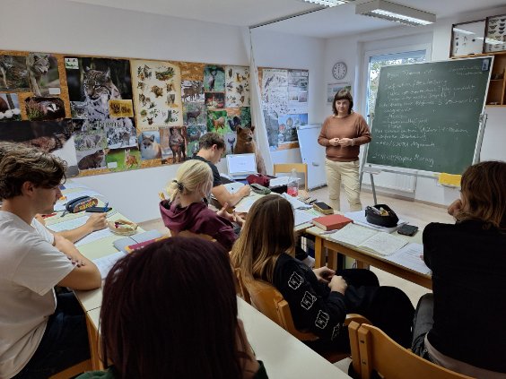 Nemški jezikovni tabor v CŠOD Kočevje