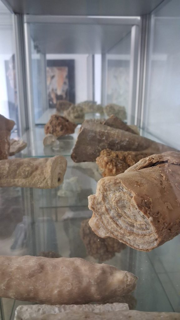 Izobraževalni center za jedrsko tehnologijo