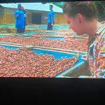 Dijaki gledajo film o proizvodnji čokolade