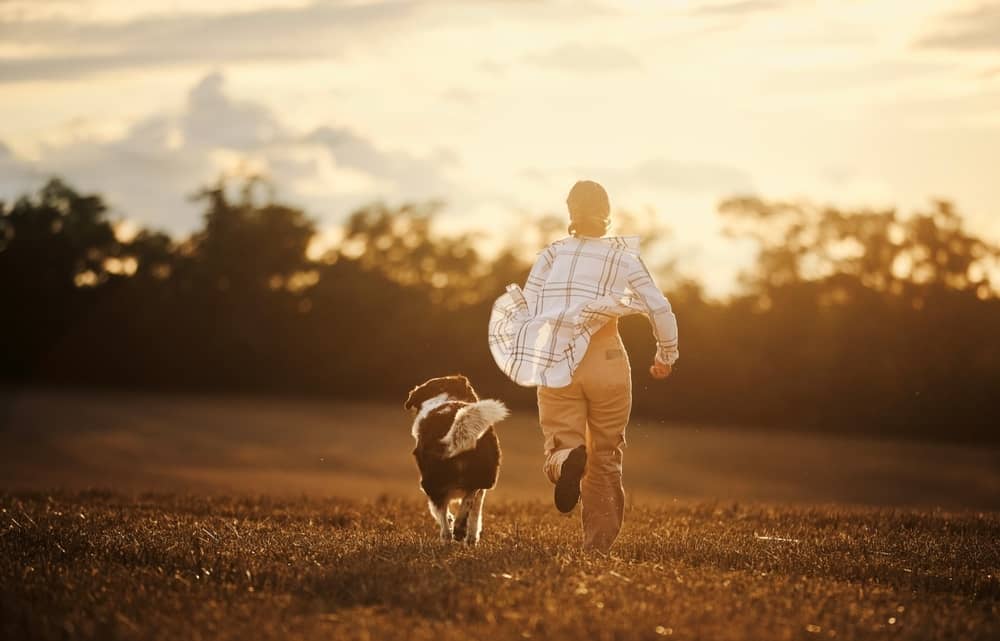 PSI IN NJIHOVE SUPERMOČI