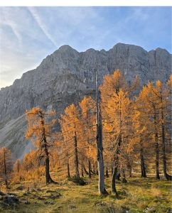Pogled z vrha Slemenove špice proti Mojstrovkam