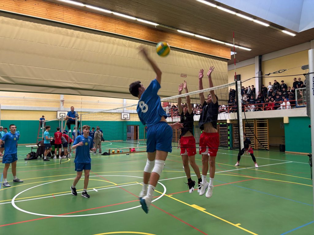 Šolsko tekmovanje v odbojki