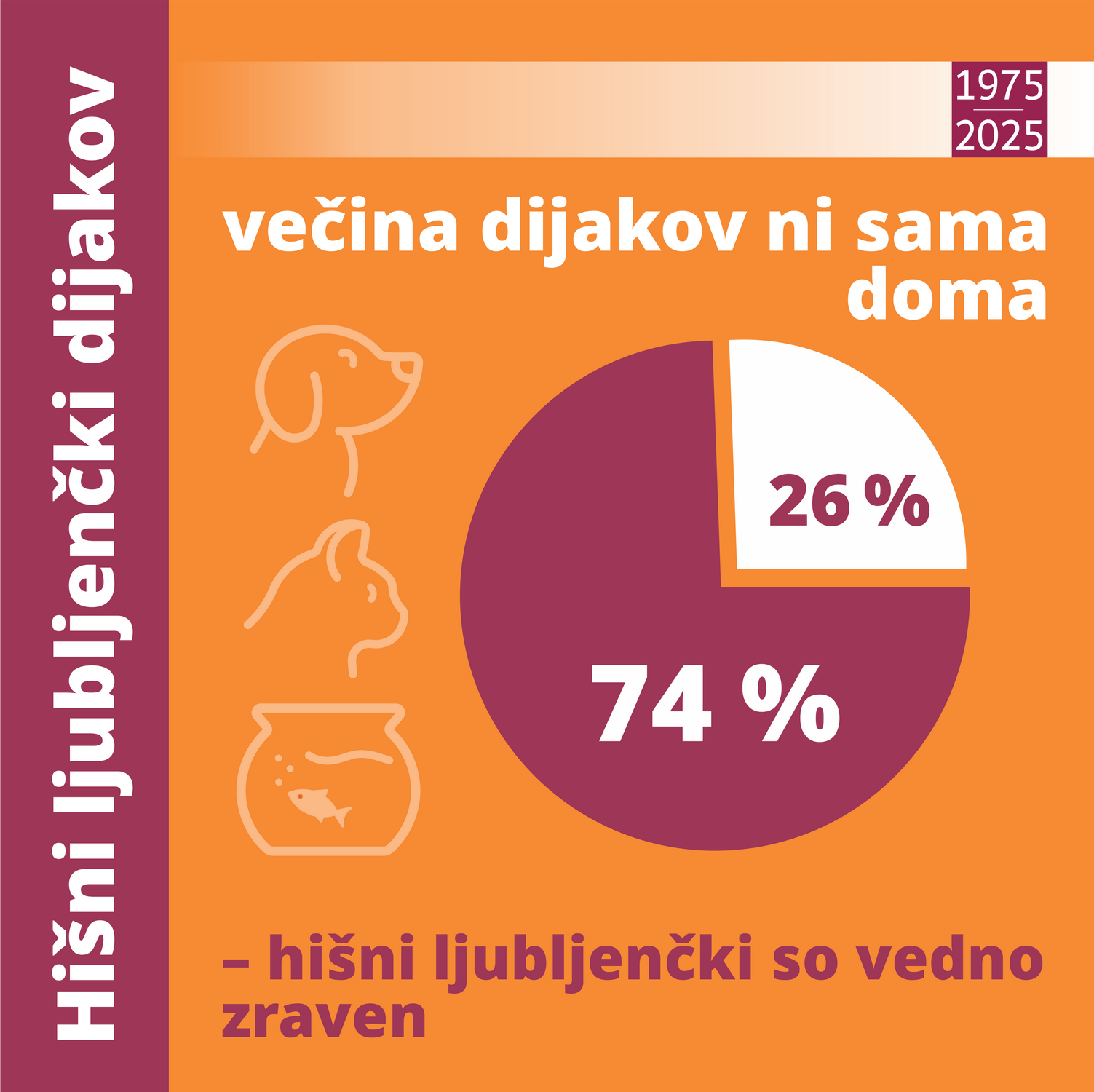 50let_šola v številkah29