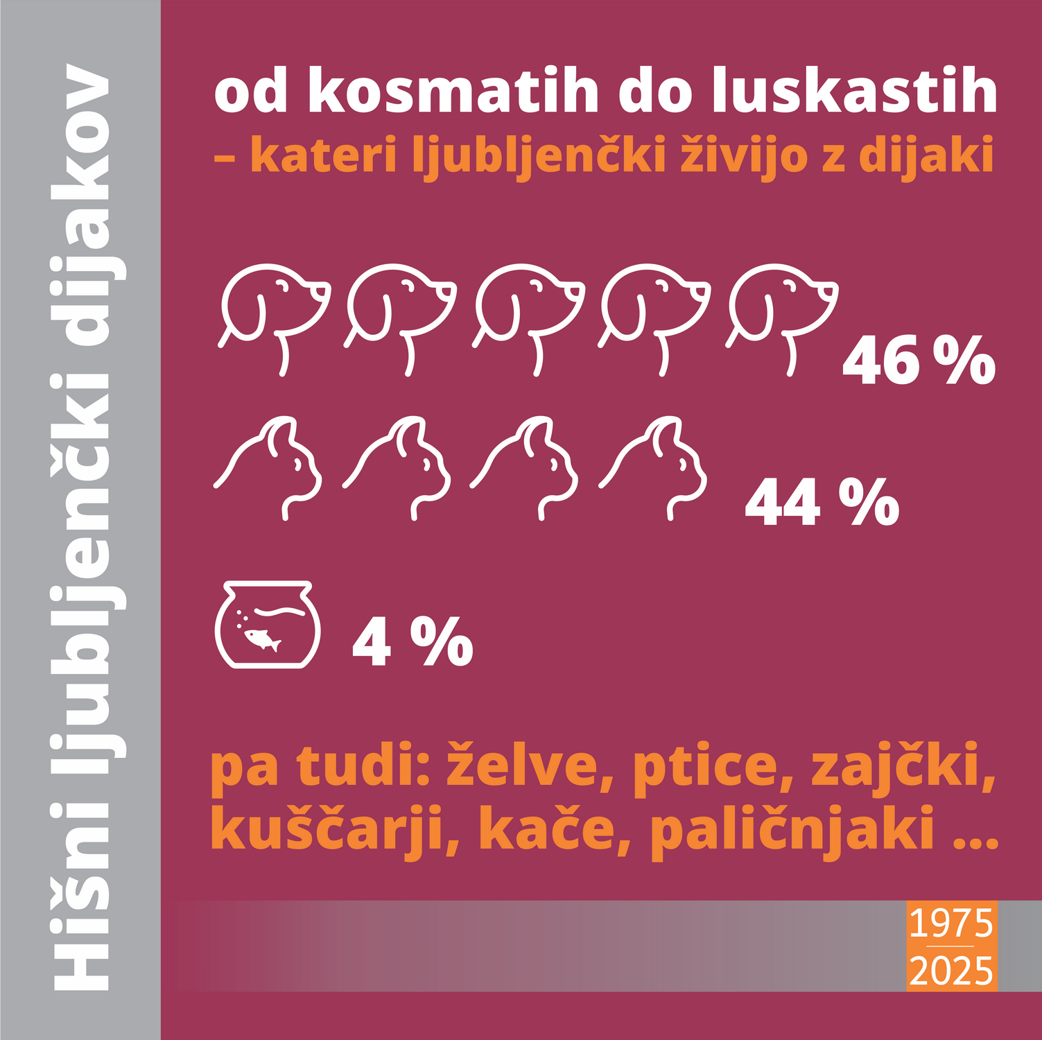50let_šola v številkah30