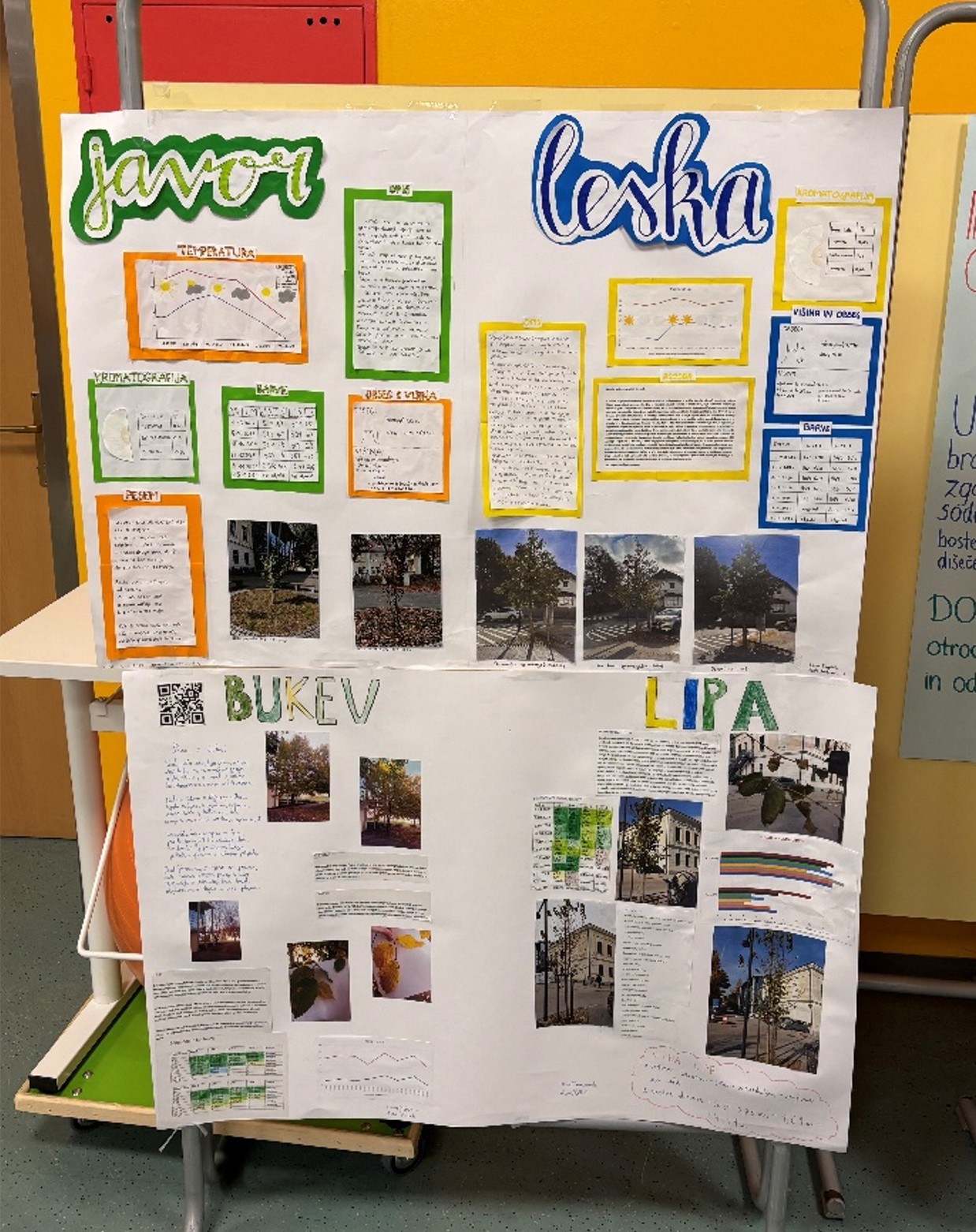 GLOBE GLOBE