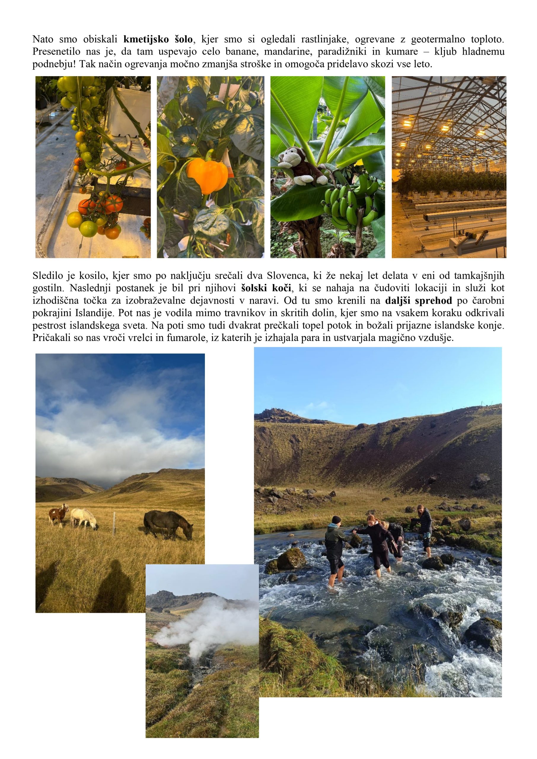 Poročilo dijaki-1_page-0008