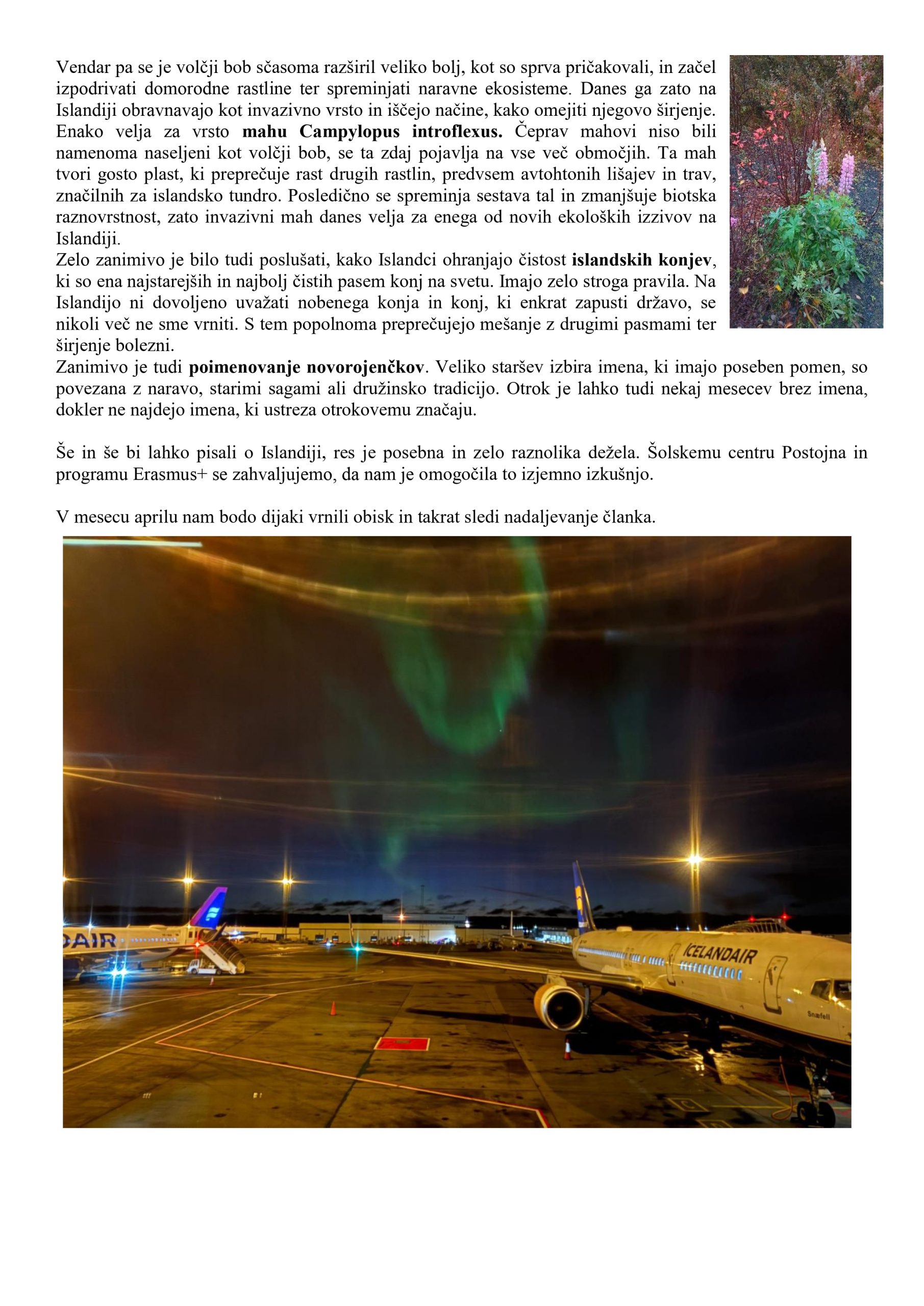 Poročilo dijaki-1_page-0015