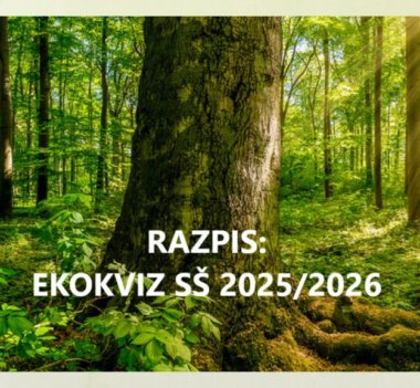 Ekokviz, tekmovanje na temo okolja