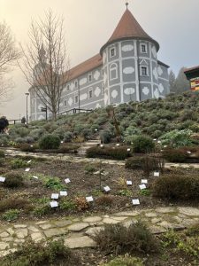 Doživetje na Kozjanskem