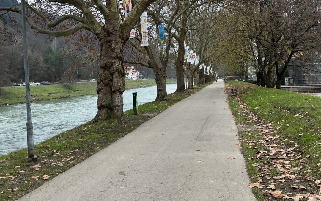 Okrasitev Savinjskega nabrežja z lampijoni