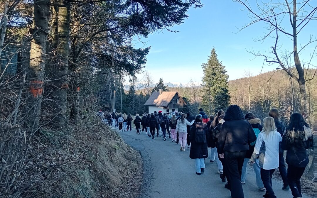 Tabor CŠOD Vojsko – trije dnevi izkušenj, izzivov in zabave